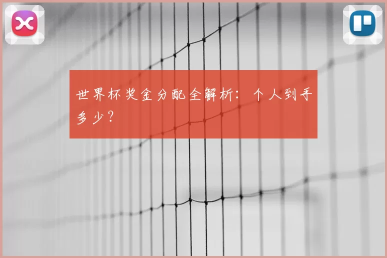 世界杯奖金分配全解析：个人到手多少？