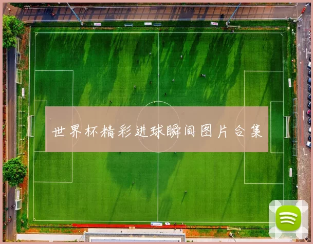 世界杯精彩进球瞬间图片合集