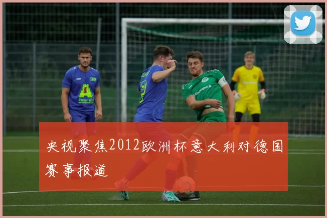 央视聚焦2012欧洲杯意大利对德国赛事报道
