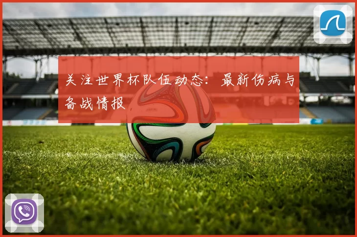 关注世界杯队伍动态:最新伤病与备战情报