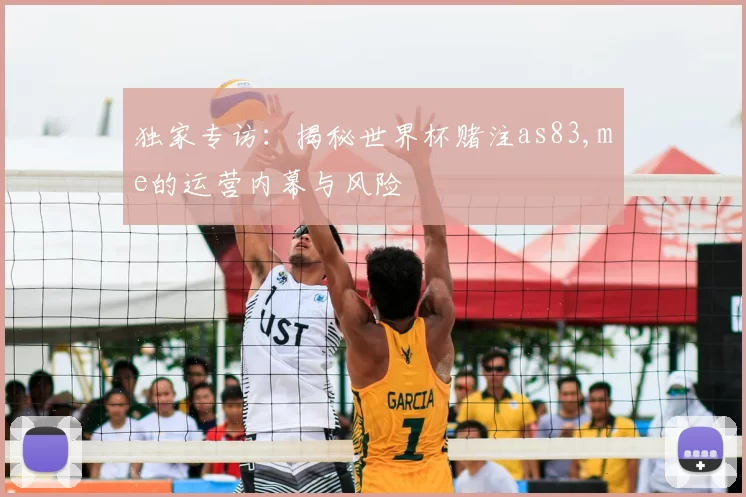 独家专访：揭秘世界杯赌注as83,me的运营内幕与风险