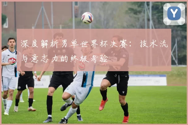 深度解析男单世界杯决赛:技术流与意志力的终极考验
