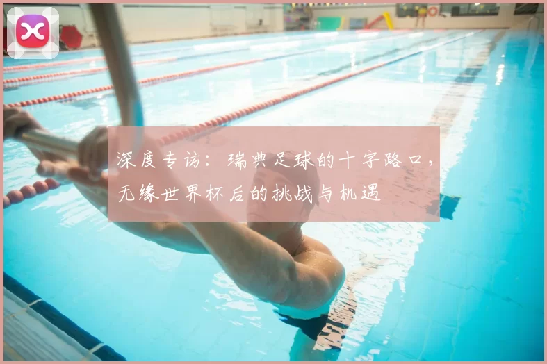 深度专访：瑞典足球的十字路口，无缘世界杯后的挑战与机遇