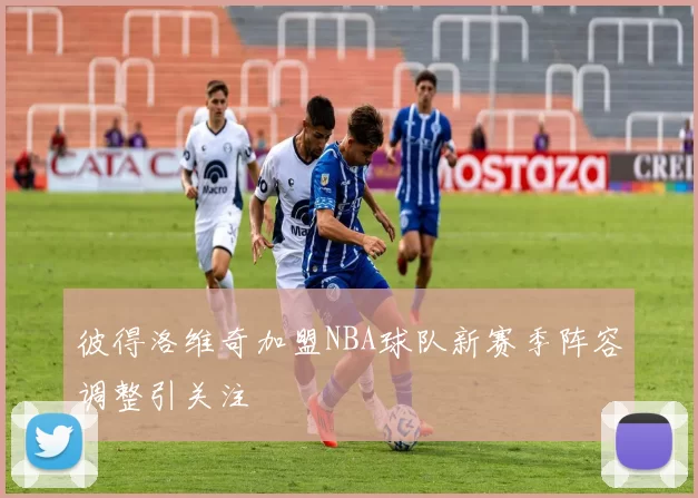 彼得洛维奇加盟NBA球队新赛季阵容调整引关注