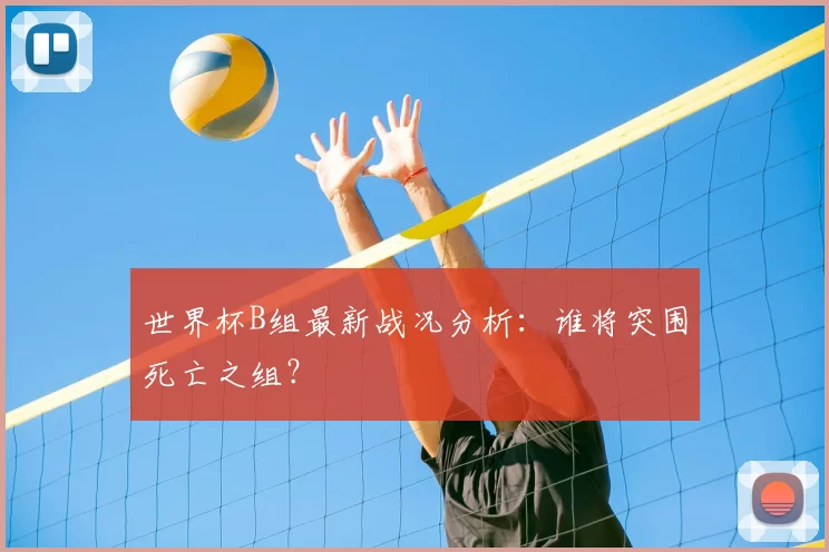世界杯B组最新战况分析:谁将突围死亡之组?