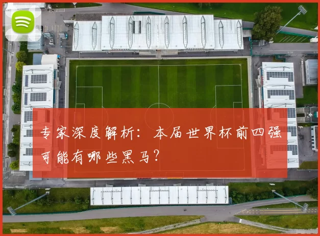 专家深度解析：本届世界杯前四强可能有哪些黑马？