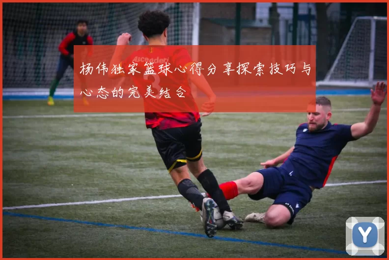 杨伟独家篮球心得分享探索技巧与心态的完美结合