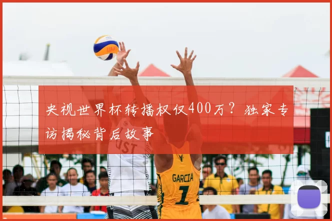 央视世界杯转播权仅400万？独家专访揭秘背后故事