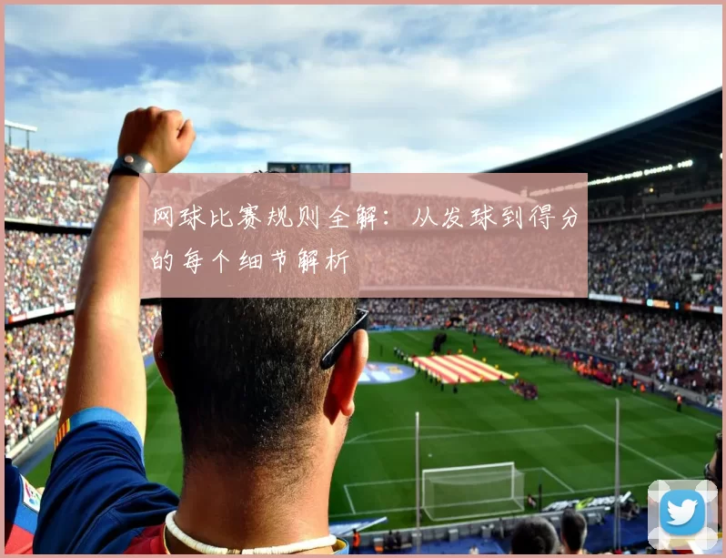 网球比赛规则全解：从发球到得分的每个细节解析