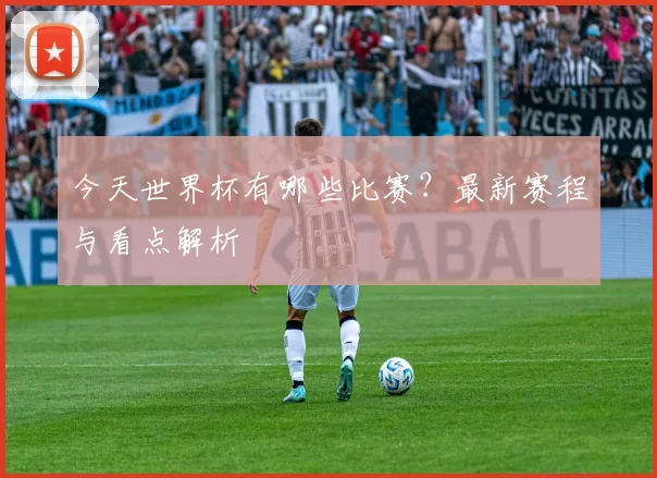 今天世界杯有哪些比赛？最新赛程与看点解析