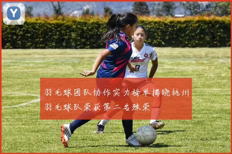 羽毛球团队协作实力榜单揭晓杭州羽毛球队荣获第二名殊荣