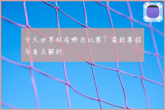 今天世界杯有哪些比赛？最新赛程与看点解析