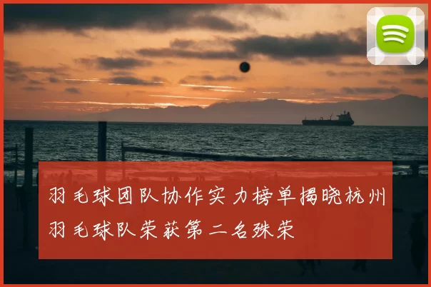 羽毛球团队协作实力榜单揭晓杭州羽毛球队荣获第二名殊荣