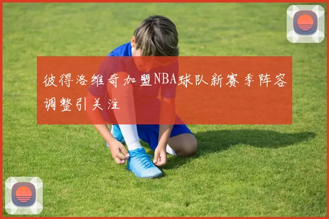 彼得洛维奇加盟NBA球队新赛季阵容调整引关注