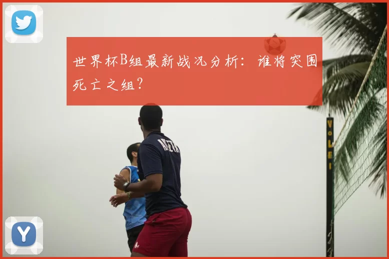 世界杯B组最新战况分析:谁将突围死亡之组?